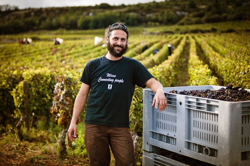 Arnaud Desfontaine - Château de Chamilly - GRANDS VINS DE BOURGOGNE