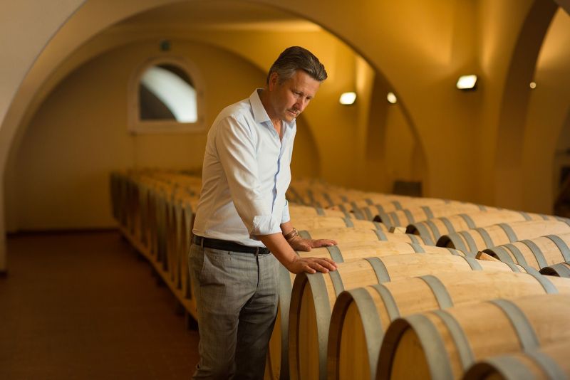 Gianfranco Gallo. Vie di Romans Winery - Friuli Venezia Giulia. Italy