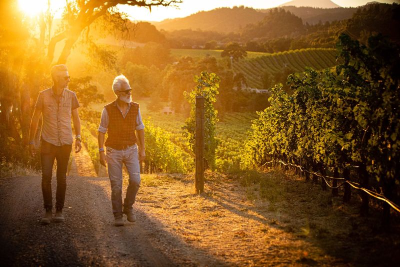 Winery Photographer, Simonit & Sirch Master Pruners working in Napa