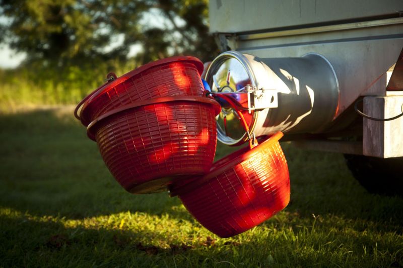 Clean Buckets after an intense harvest day