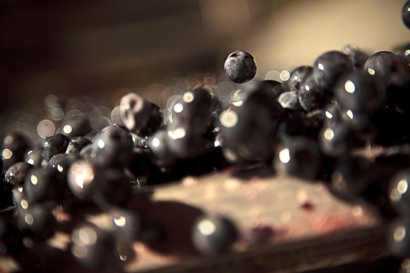 Bouncing Grapes. White Cottage Ranch Winery. Napa CA