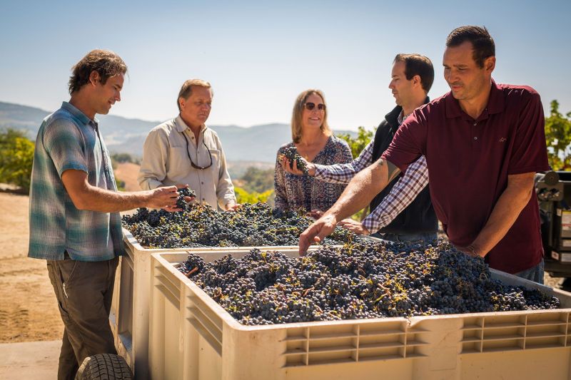 Amizetta Family Vineyards. Saint Helena. Napa Valley