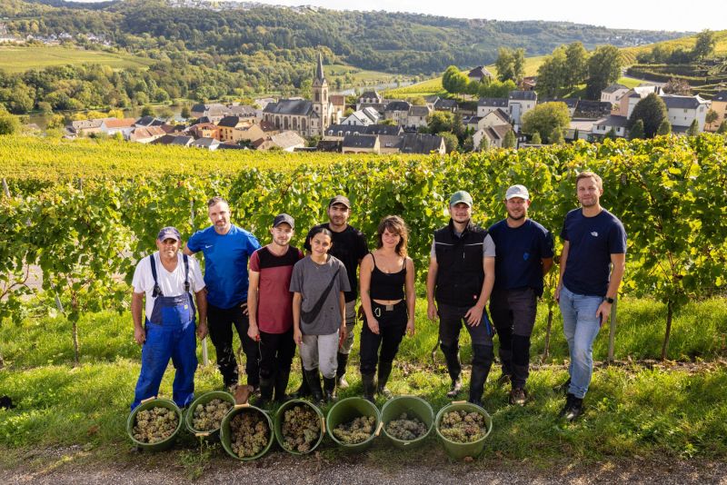 Harvest Team at Alice Hartmann