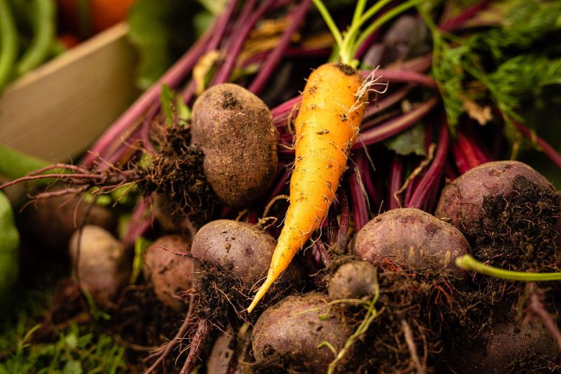 Domaine de Cromey Vegetable Garden