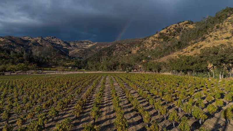 Eisele Vineyard in Calistoga, Napa Valley