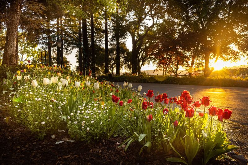 Far Niente Gardens