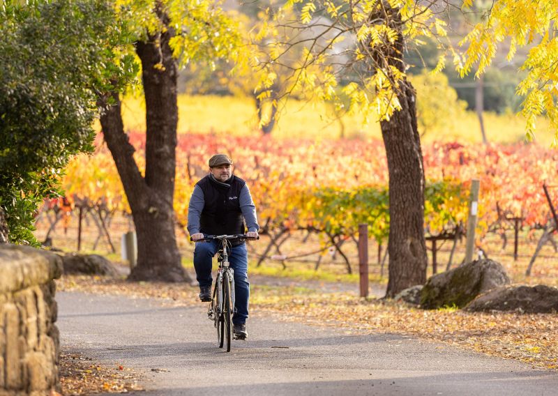 Ludovic Dervin Winemaker at Stags Leap Winery